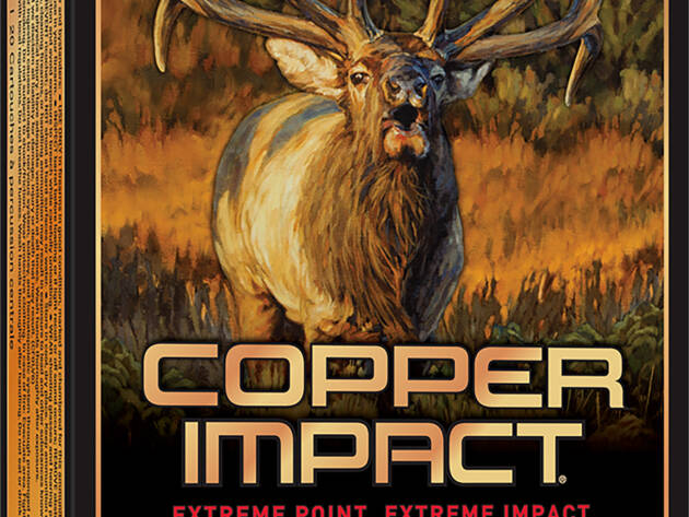 Winchester Ammo X3006CLF2 Copper Impact  30-06Springfield 180gr Copper Extreme Point Lead Free 20 Per Box/10 Case