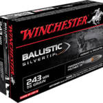 Winchester Ammo SBST243 Ballistic Silvertip 243Win 55gr Fragmenting Polymer Tip 20 Per Box/10 Case