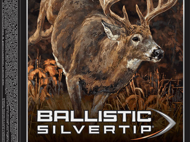Winchester Ammo SBST308A Ballistic Silvertip  308Win 168gr Rapid Controlled Expansion Polymer Tip 20 Per Box/10 Case