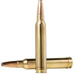 Norma Ammunition 20157342 Oryx 22-250Rem 55gr 20 Per Box/10 Case