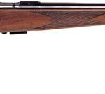 ANSCHUTZ 1712 SILHOUETTE 22LR - 2-STG 21.6" BLUED MONTE-CARLO