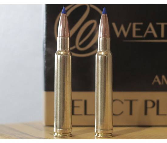 WBY AMMO 340WBY 250GR INTERLOCK 20/10