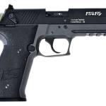 GSG FireFly HGA .22LR 4.9" TB Smk Grey 13-rd