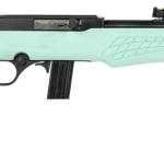 Rossi RS22L1811TL RS22 Full Size 22 LR 10+1 18" Matte Black Steel Barrel, Matte Black Grooved Aluminum Receiver, Teal Synthetic Fixed Stock