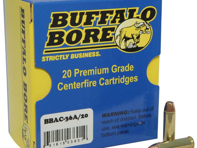 Buffalo Bore Ammunition 8G Buffalo-Barnes Strictly Business 45-70Gov 350gr Barnes TSX Flat Nose Lead Free 20 Per Box/12 Case