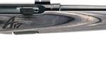SAVAGE A17 17WSM SPORTER 22" - ACCU TGR BLU/GRY LAM SPORTER
