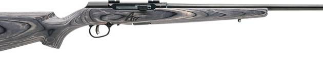 SAVAGE A17 17WSM SPORTER 22" - ACCU TGR BLU/GRY LAM SPORTER