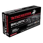 WIN BALLISTIC SILVERTIP 223REM 55GR BST 20/10