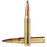 Norma Ammunition 20176102 Dedicated Hunting Bondstrike 300RUM 180gr Bonded Polymer Tip 20 Per Box/10 Case