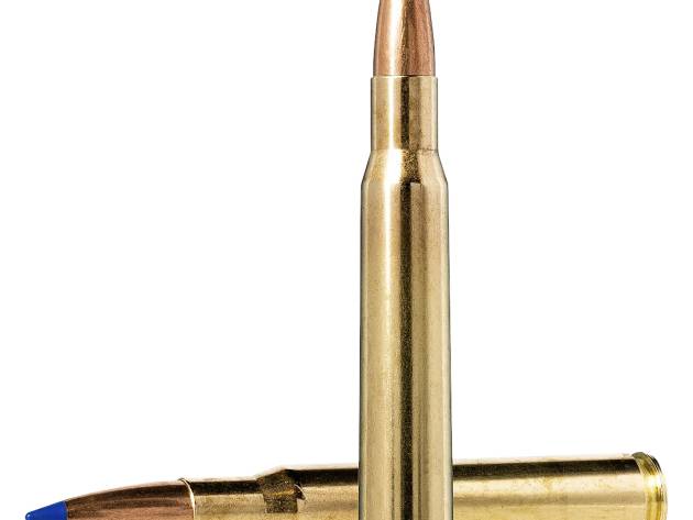Norma Ammunition 20176102 Dedicated Hunting Bondstrike 300RUM 180gr Bonded Polymer Tip 20 Per Box/10 Case