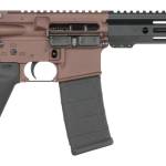 Shark Coast Tactical SCC07190HOLM-P Holmes 5.56 NATO 30+1 10.50" Black Nitride Threaded Barrel, Aluminum Receiver w/Picatinny Rail, M-LOK Handguard, Polymer SB Tactical SBA3 Brace, Polymer Grip