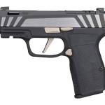 Sig Sauer 365AXG9COMPEQ P365 AXG Equinox Compact 9mm Luger 12+1 3.10" Equinox/Nitron Stainless Steel Optic Ready Slide, Equinox Black Stainless Steel Frame w/Picatinny Rail, Black G10 Grip
