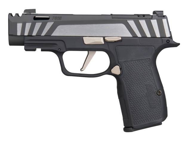 Sig Sauer 365AXG9COMPEQ P365 AXG Equinox Compact 9mm Luger 12+1 3.10" Equinox/Nitron Stainless Steel Optic Ready Slide, Equinox Black Stainless Steel Frame w/Picatinny Rail, Black G10 Grip