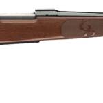 Winchester Guns 535201220 Model 70 Featherweight Compact 308 Win Caliber with 5+1 Capacity, 20" Barrel, Brushed Polish Blued Metal Finish & Satin Walnut Fixed Feather Checkered Stock Right Hand