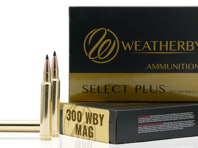 WBY AMMO 300WBY 180GR TGK 20/10