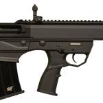 GFORCE ARMS GFYP 12/18.5 BLACK 5+1