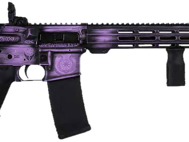 SHARK COAST 300-132-1000-25 556 16" VALKYRIE DELUX