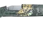 GRAYBOE STOCK FLAGSTAFF SONORAN